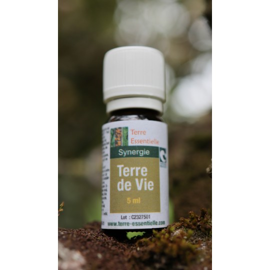 synergie-dhuiles-essentielles-terre-de-vie